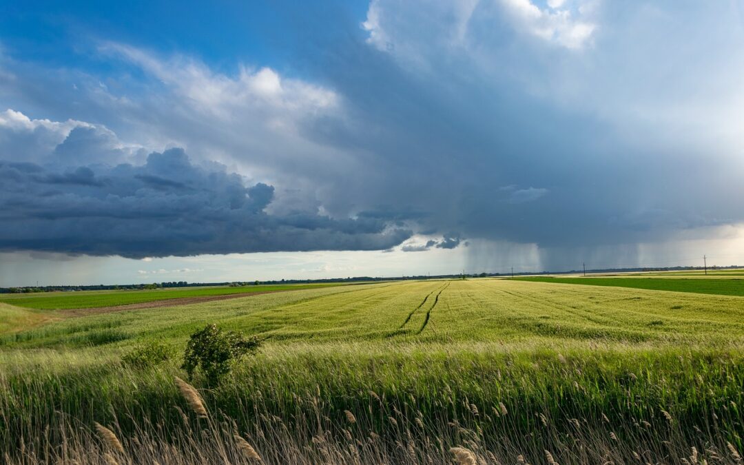 Great Basin Climate And Agriculture / Unveiling The Drought-Prone Great…