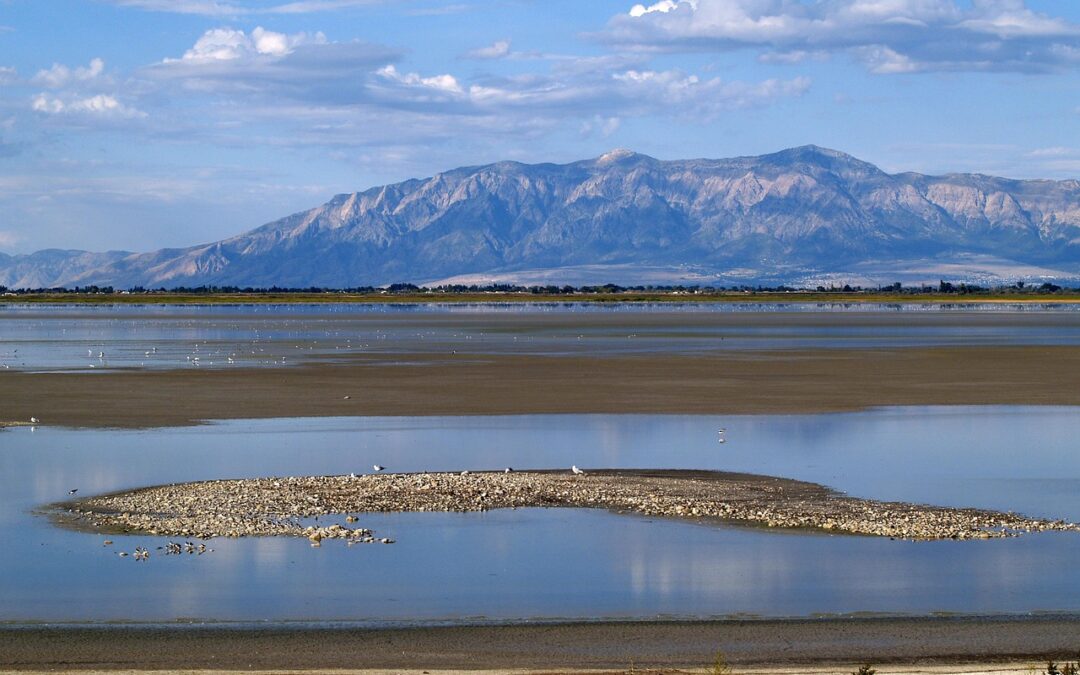 Great Salt Lake Dust Control Measures: The Arid Aftermath: Battling…