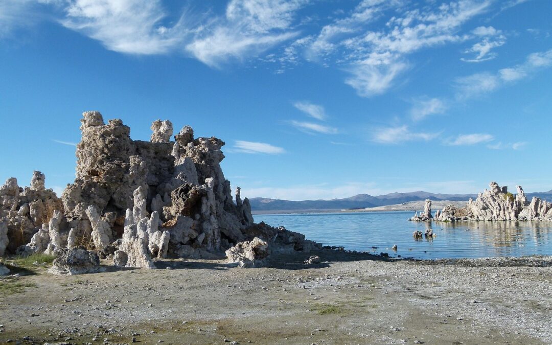 Great Salt Lake Ecosystem Protection – Uncover The Plight Of…