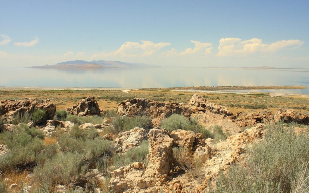 Great Salt Lake Ecosystem Protection: The Plight Of The Great…