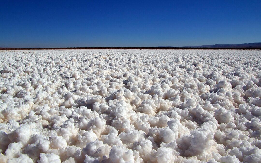 Great Salt Lake Water Level Sustainability | The Drying Crisis:…