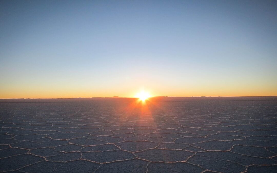 Great Salt Lake Wildlife Conservation: Discover The Wonders And Conservation…