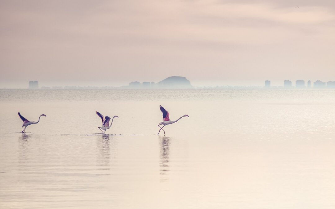 Laguna Salada Baja California Weather Patterns: Experience The Weather Wonders…