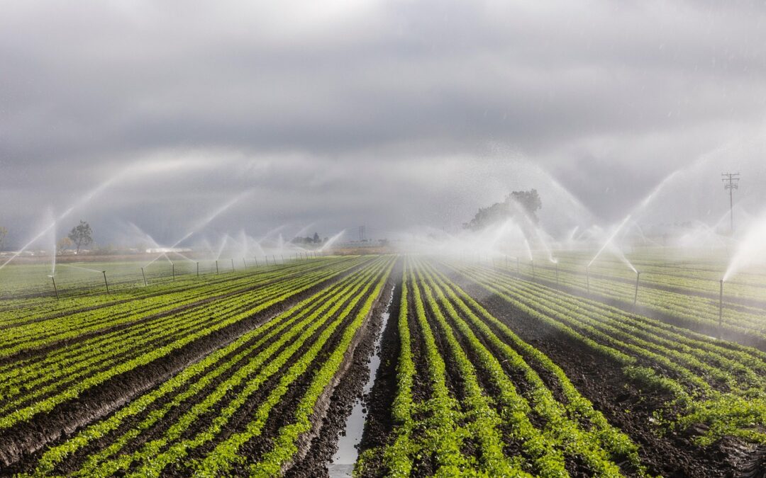 Move Water For Irrigation Systems | The Salton Sea: Reviving…