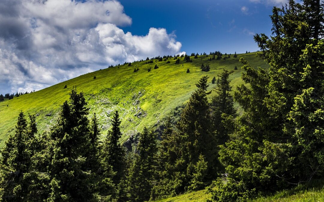 Sustainable Practices In The Great Basin Watershed » Discover The…