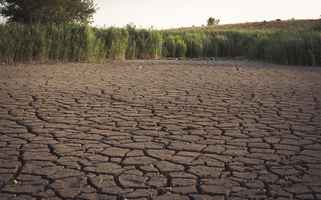 Water Scarcity Solutions » Water Scarcity: Solutions And The Role…