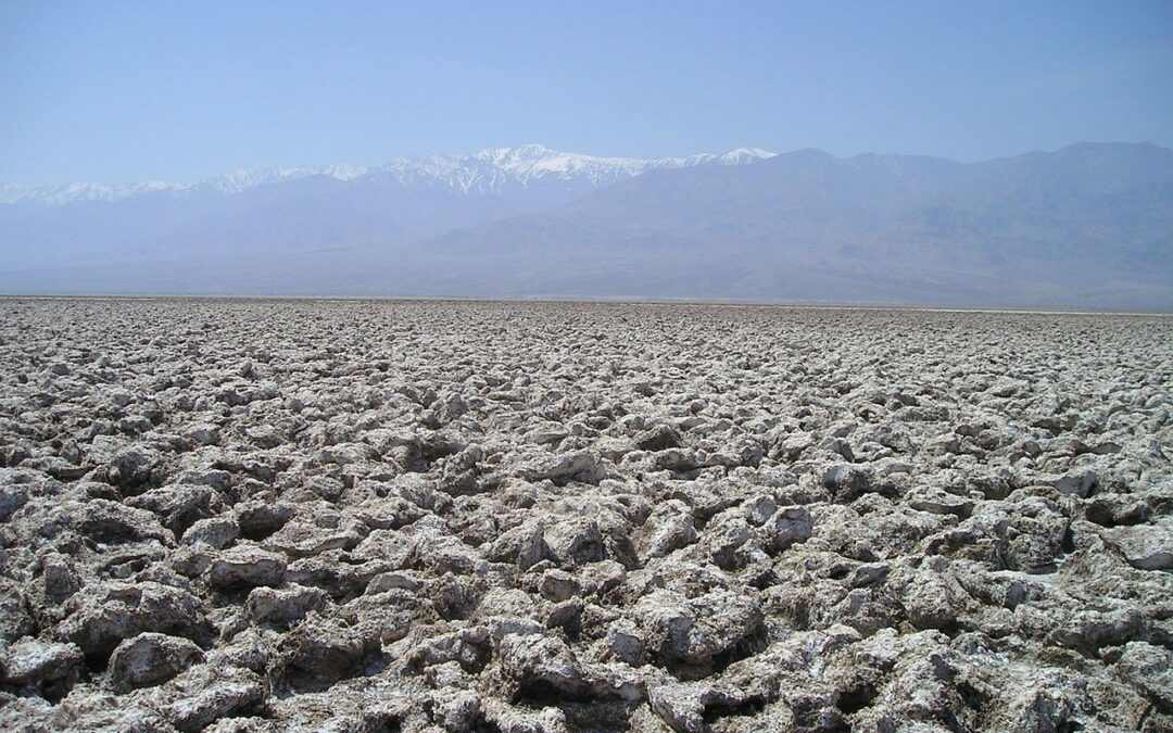 Community Involvement In Great Salt Lake Water Levels: Saving Our…