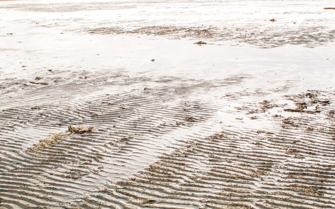 Efforts To Save The Great Salt Lake ~ Alarming Decline:…