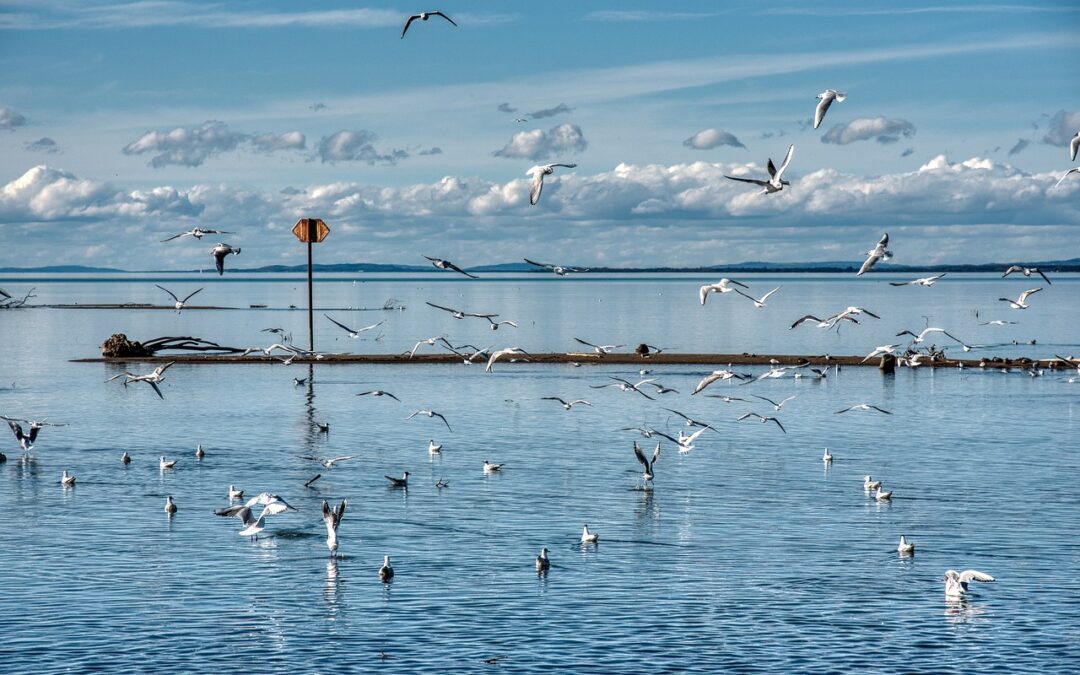 Fixing Great Salt Lake Water Levels / The Great Salt…