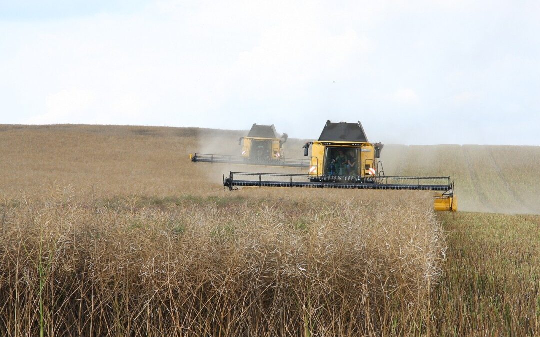 Great Basin Climate And Agriculture – Unlocking The Secrets Of…