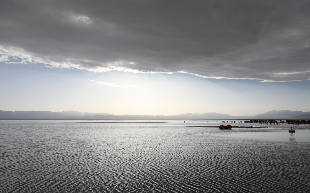 Great Salt Lake Dust Control Measures: The Green Solution: How…