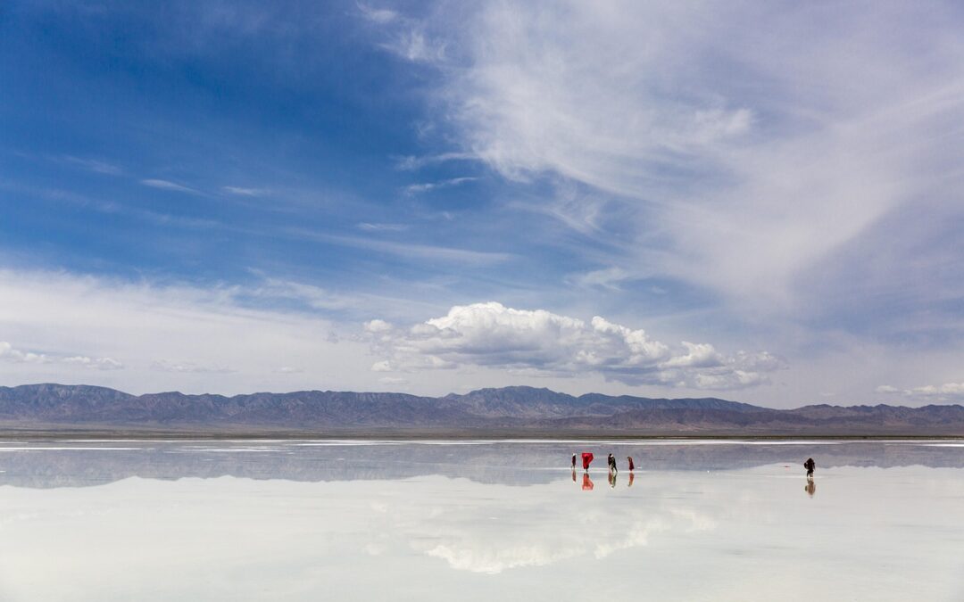 Great Salt Lake Water Conservation Efforts: Saving Our Salty Sea:…