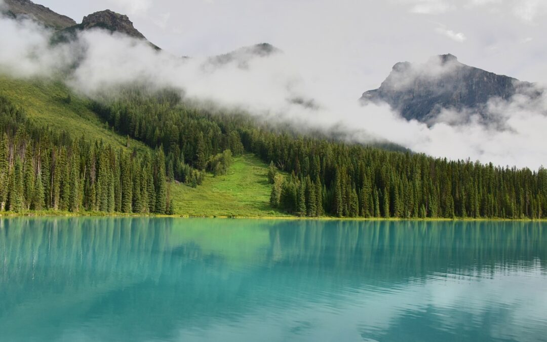 Great Salt Lake Water Conservation Efforts » The Hidden Heroes…