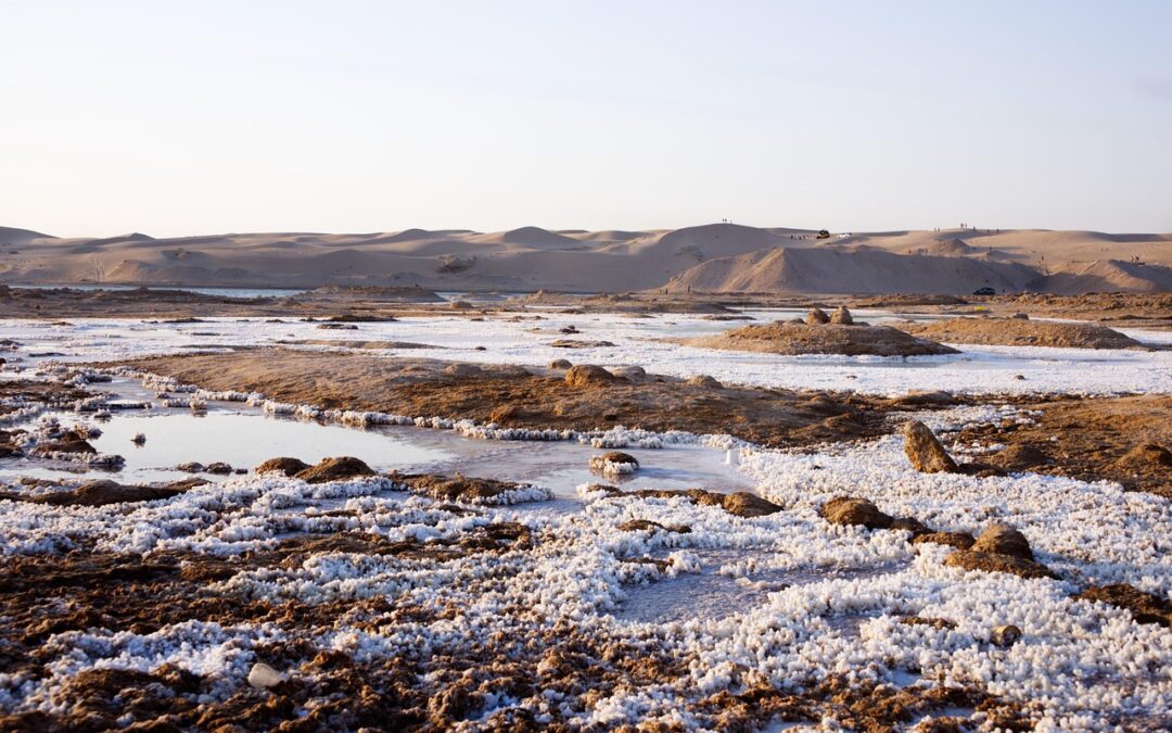 Great Salt Lake Water Level Sustainability ~ The Plight Of…