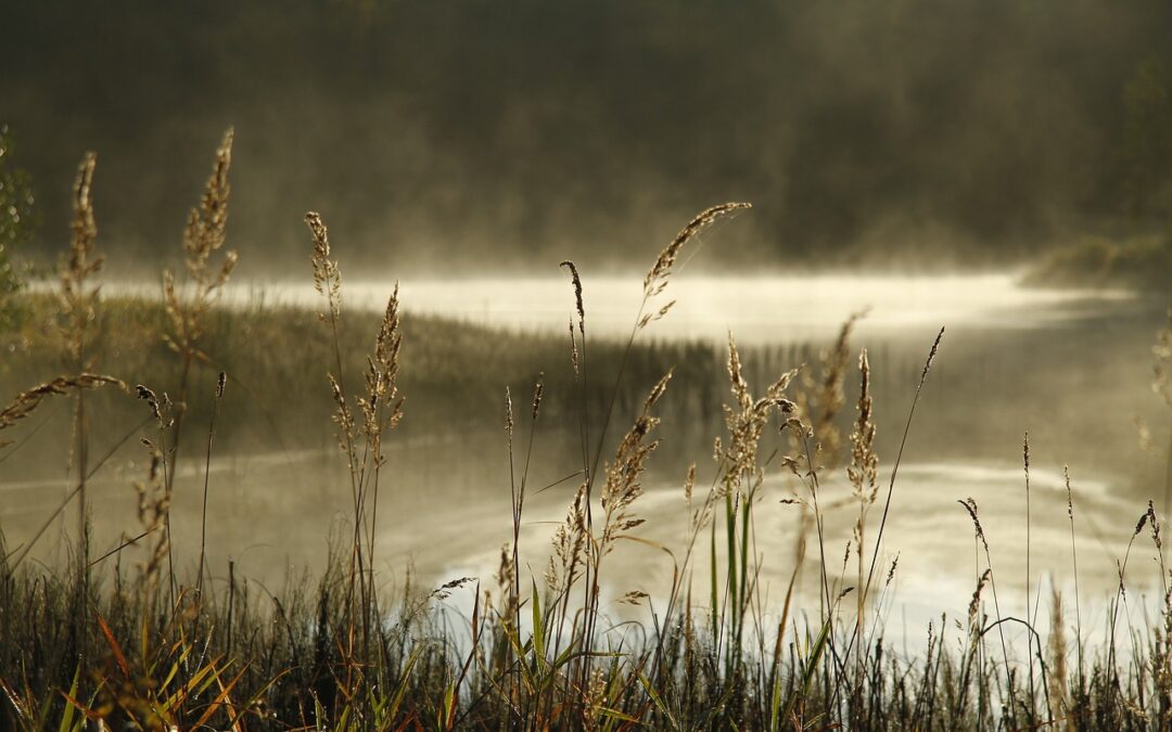 Great Salt Lake Water Management Plans: Saving The Great Salt…