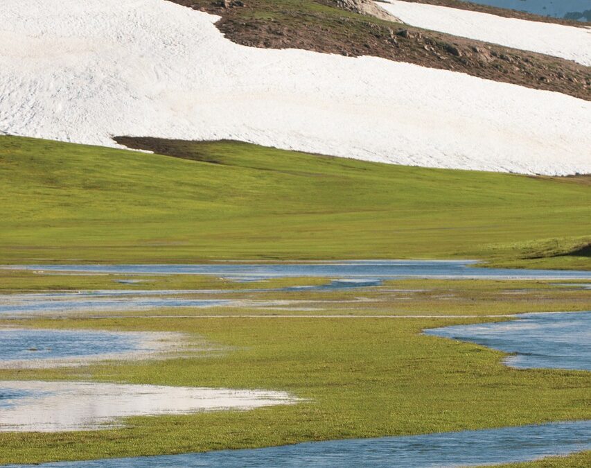 Great Salt Lake Water Management Plans – Saving Our Salty…