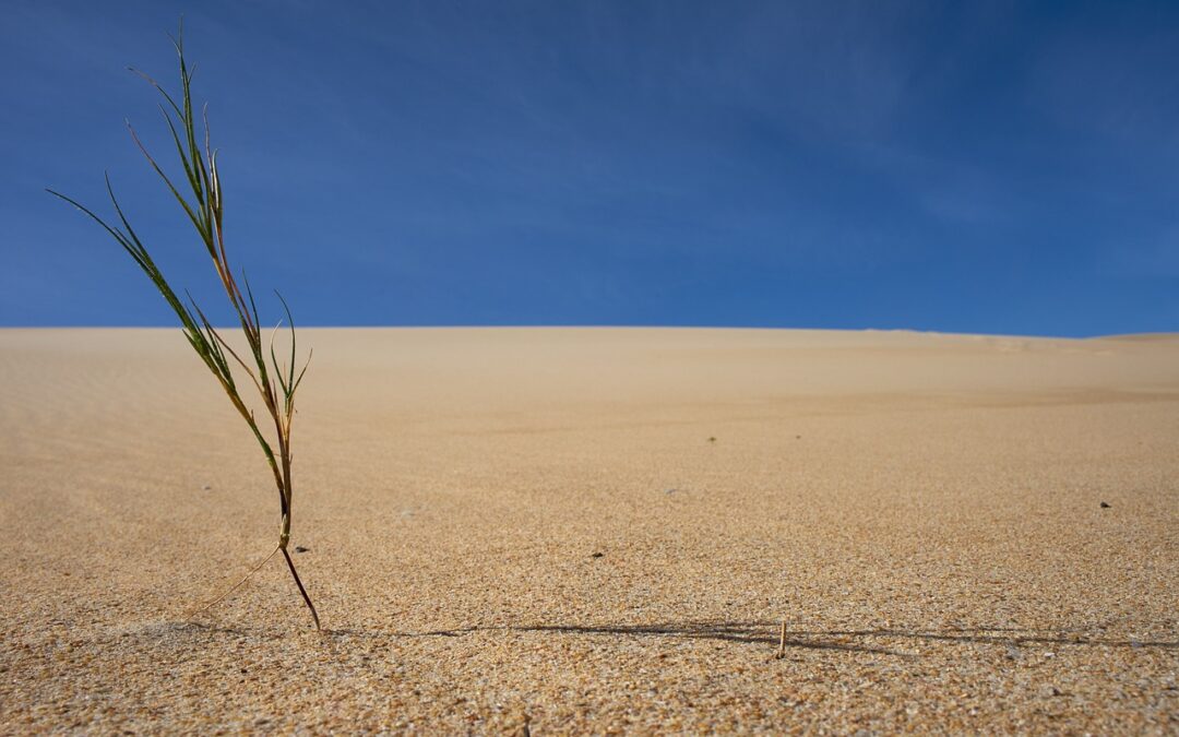 Impact Of Climate Change On The Great Basin Region |…