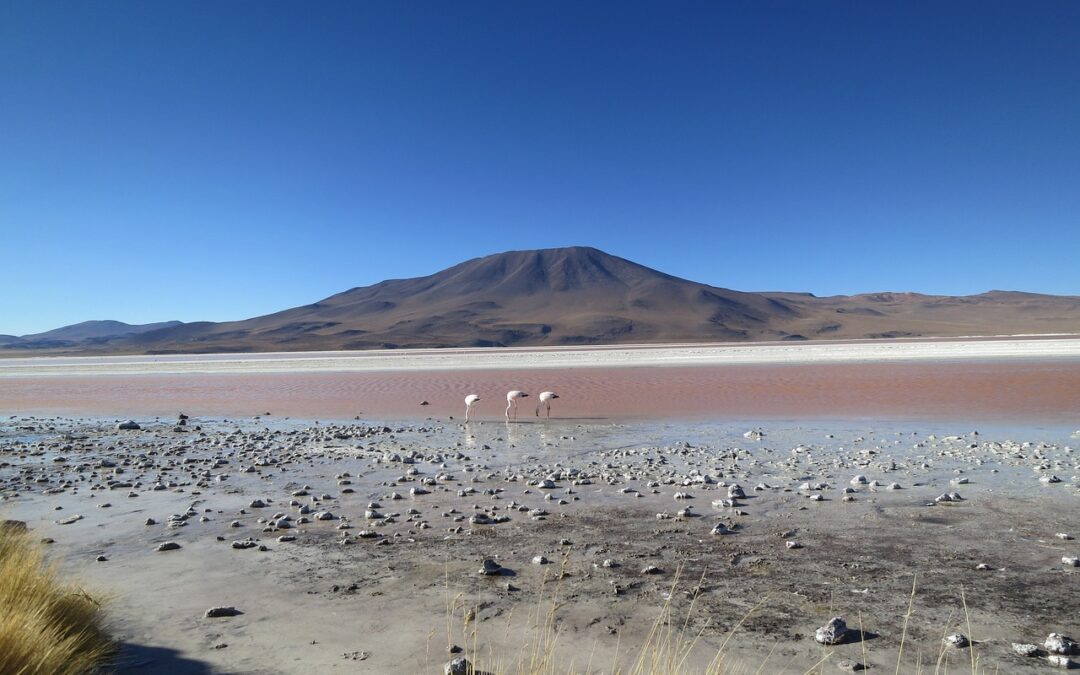 Impact Of Drought On Laguna Salada Hydrology – The Drying…