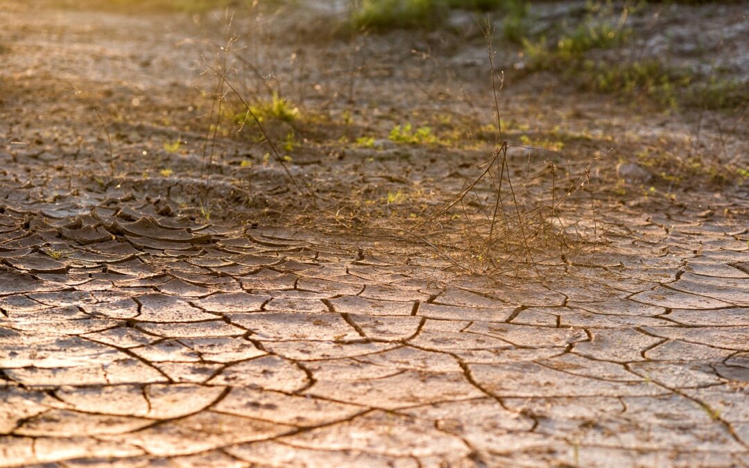 Impact Of Drought On Laguna Salada Hydrology – The Drying…