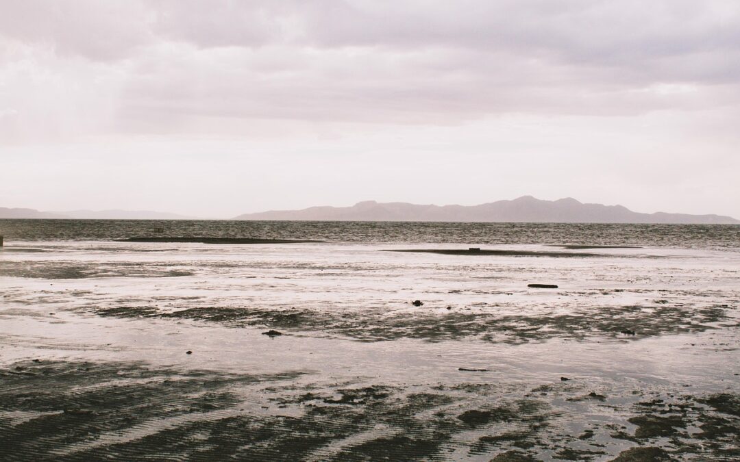 Impact Of Water Diversion On The Great Salt Lake ~…