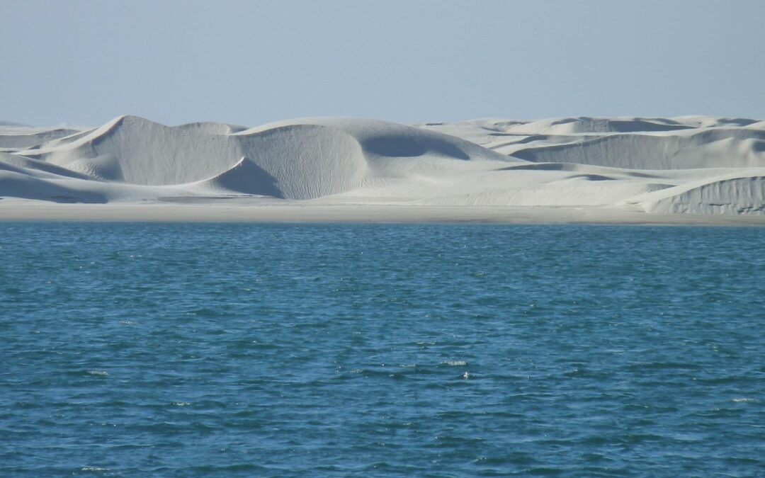 Laguna Salada Baja California Weather Patterns / Laguna Salada: A…