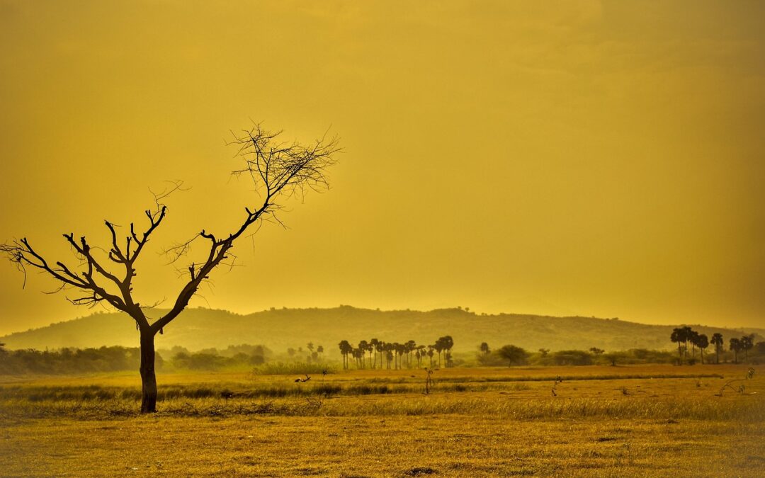 Lake Drought And Climate Change – Lake Droughts: A Dire…