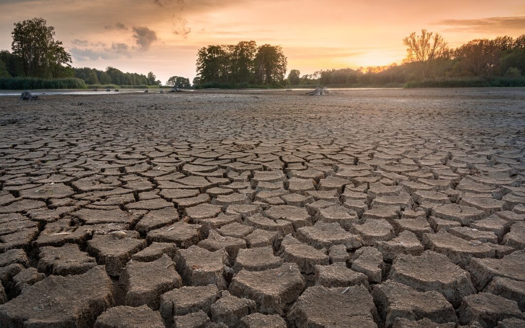 Lake Drought Mitigation Techniques: Lake Mead: Facing The Drought And…