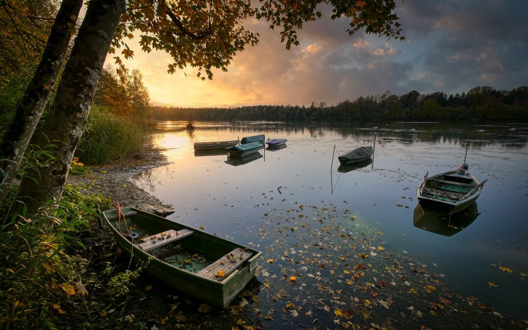 Reviving Lakes Affected By Drought / Restoring Life To Lakes…