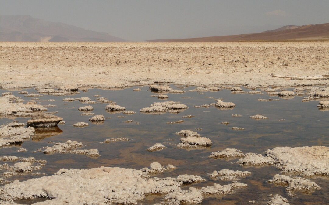 Saving The Great Salt Lake – Unveiling The Urgency: Saving…