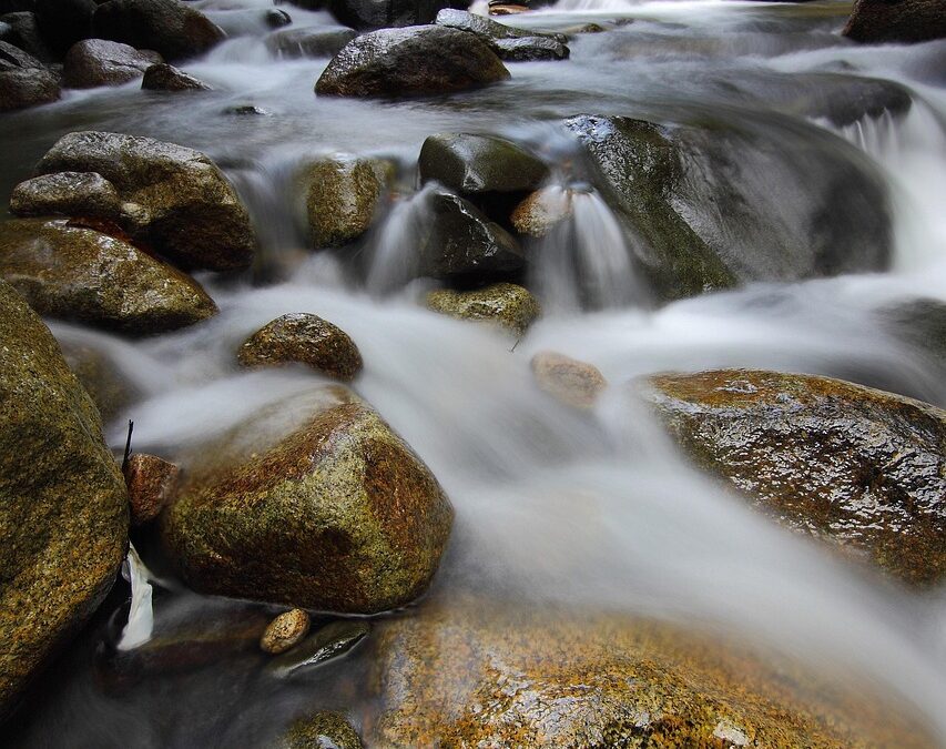 Techniques To Move Water Efficiently / Moving Water: Saving Our…