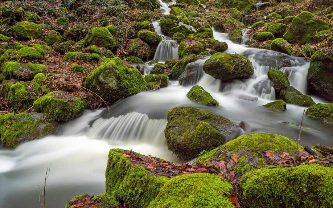 Water Cycle Reclamation Benefits / Saving The Colorado River: How…