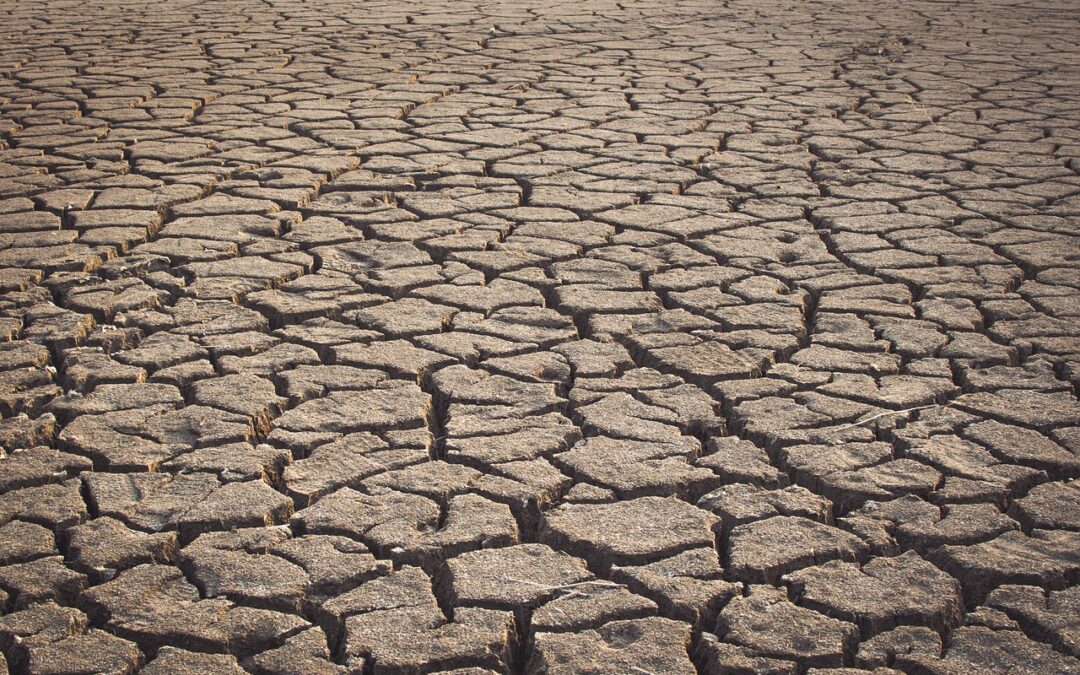 Water Cycle Repair For Drought Relief » Drought-Busting Solutions: Can…