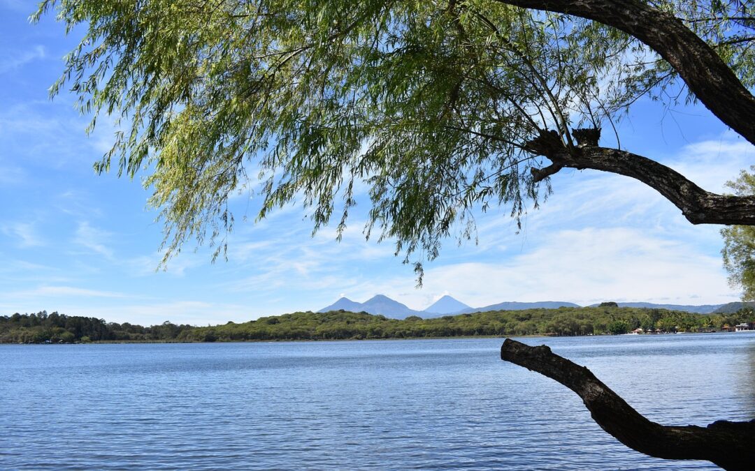 Laguna Salada » The Vanishing Lake: Laguna Salada’s Fight For…