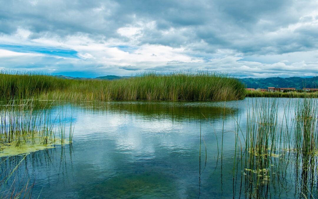 Laguna Salada » Dive Into Laguna Salada: Where Nature And…