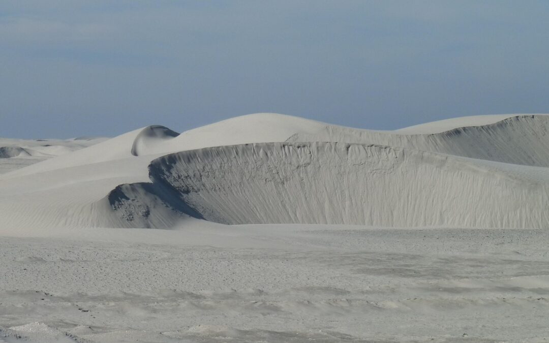 Conservation Projects In Laguna Salada Baja California | Laguna Salada:…