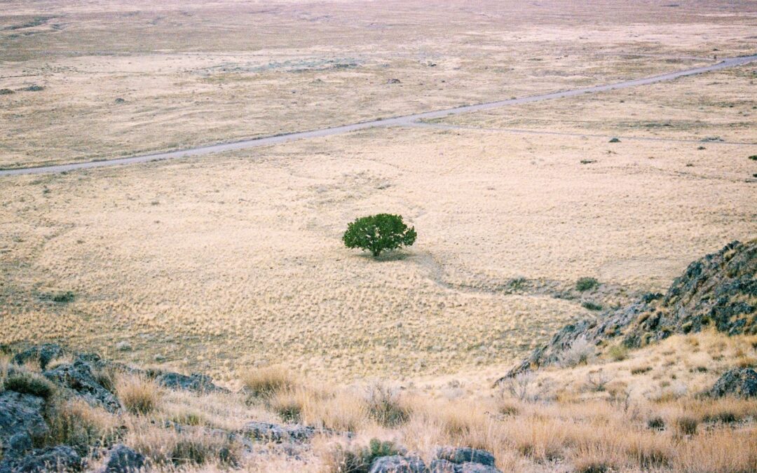 Efficient Ways To Stop Lake Drought: Saving Our Lakes: How…