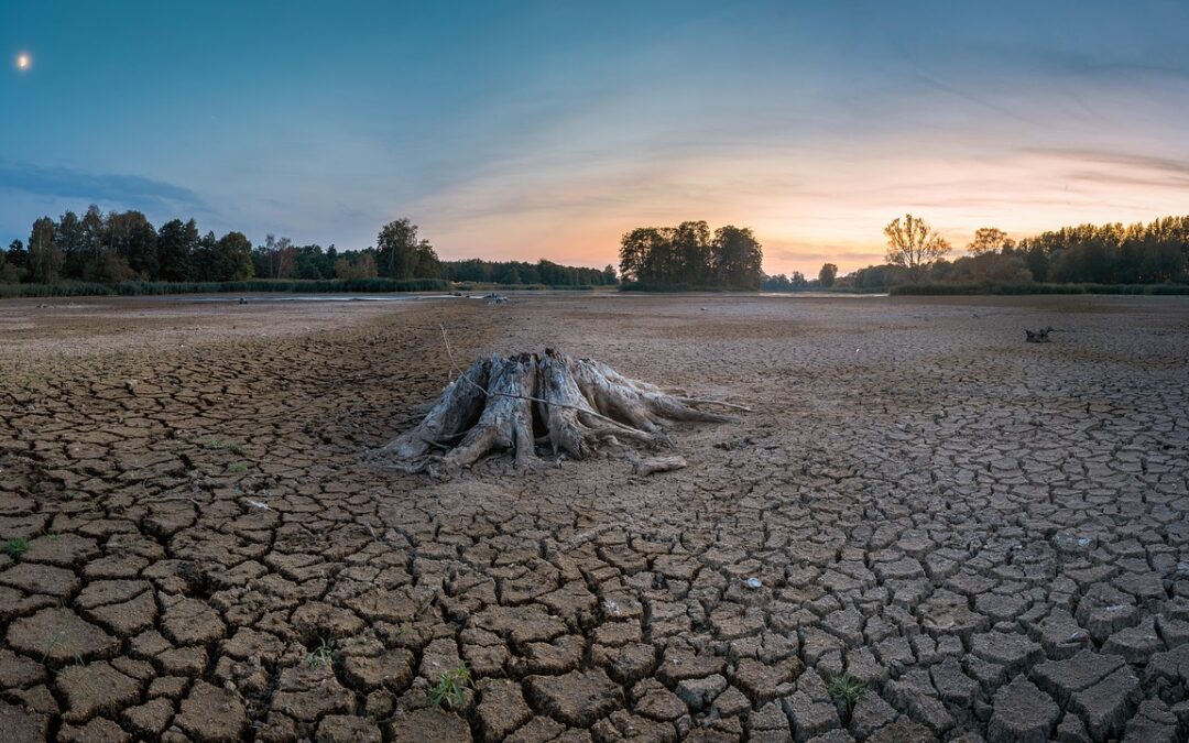 Environmental Impact Of Lake Drought | Water Worries: How Lake…