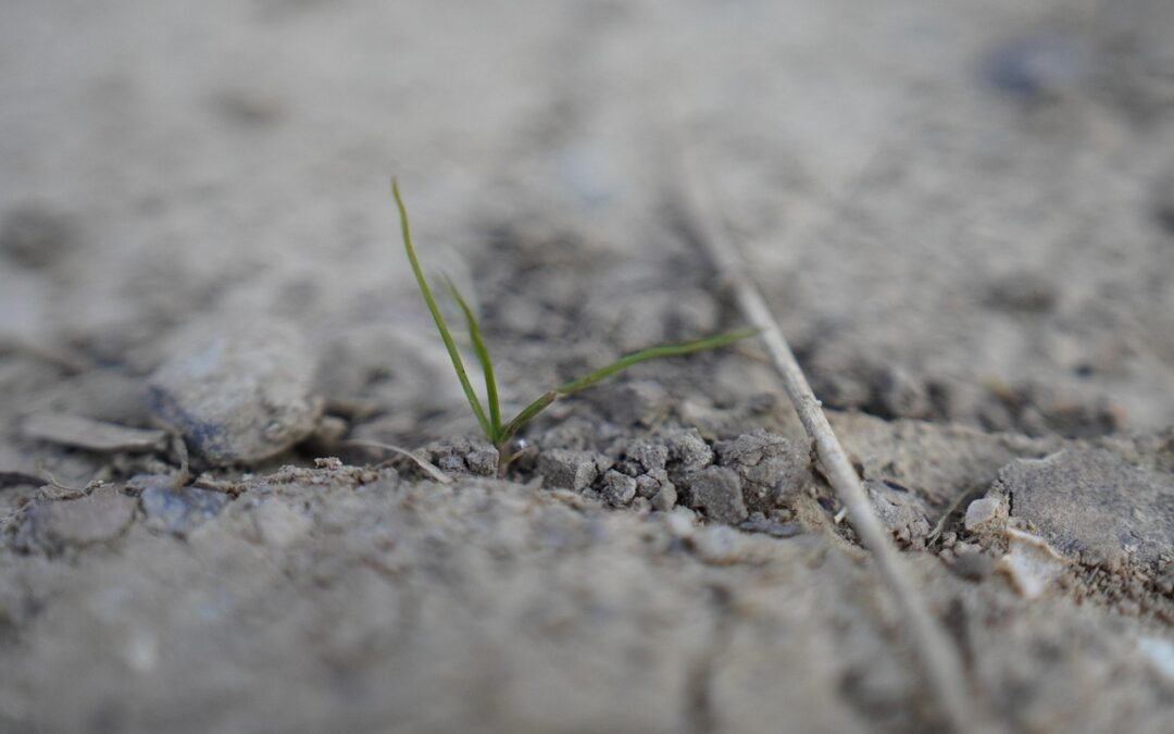 Great Basin Climate And Agriculture ~ The Great Basin: A…