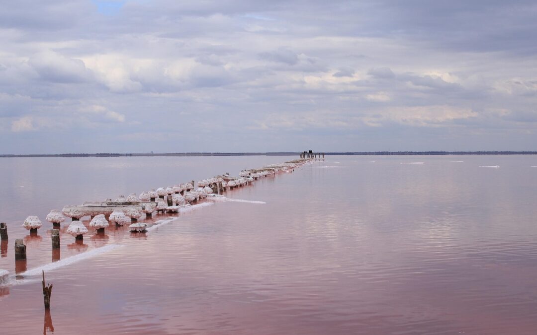 Great Salt Lake Conservation Strategies: The Great Salt Lake: A…