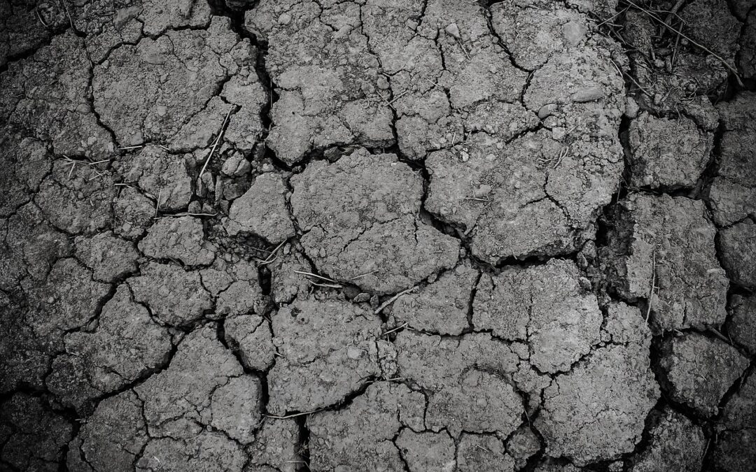 Great Salt Lake Dust Control Measures: The Great Salt Lake:…