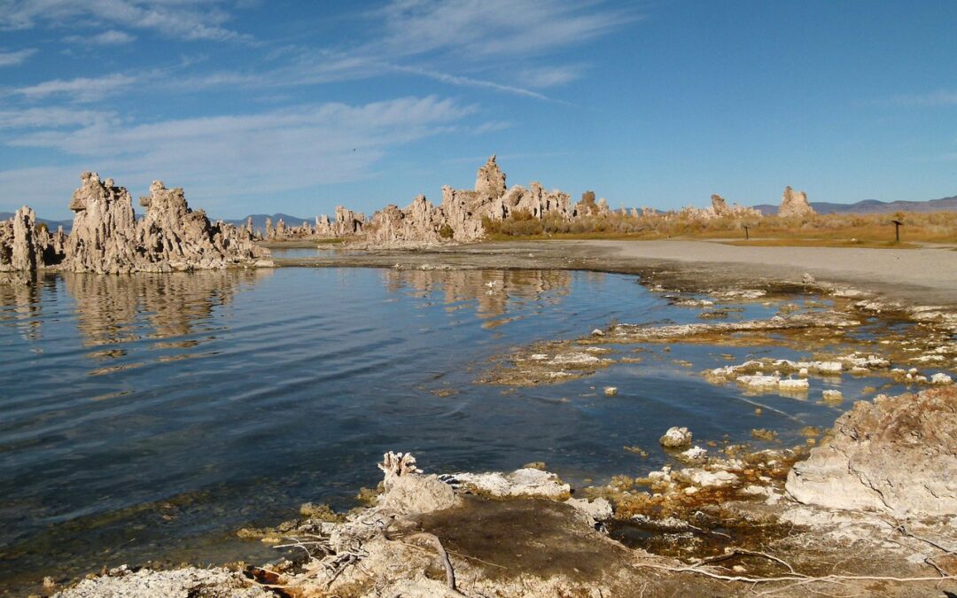 Great Salt Lake Ecosystem Protection | The Great Salt Lake:…