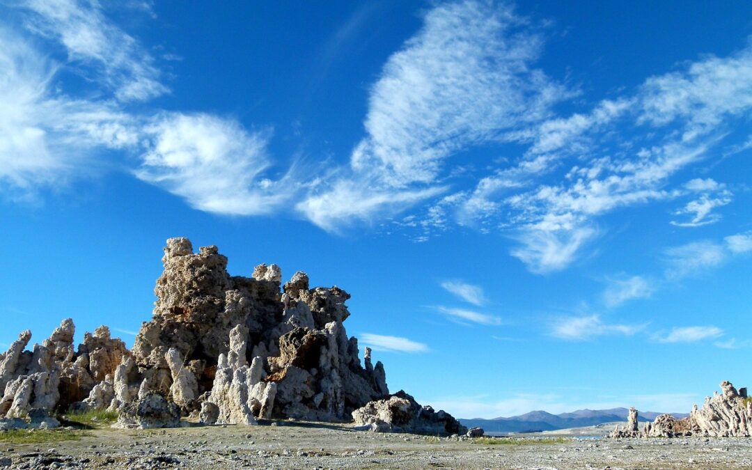 Great Salt Lake Ecosystem Protection / Saving Our Salty Sea:…