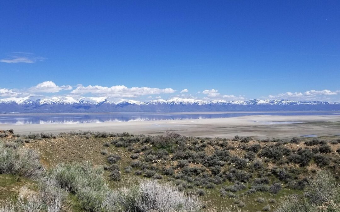 Great Salt Lake Restoration Projects: The Hidden Heroes Of Climate…