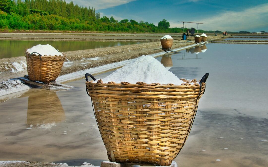 Great Salt Lake Water Conservation Efforts – Utah’s Great Salt…