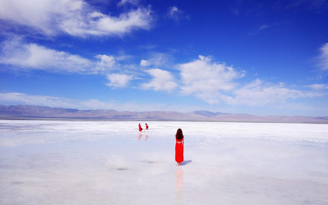 Great Salt Lake Water Management Plans / The Great Salt…