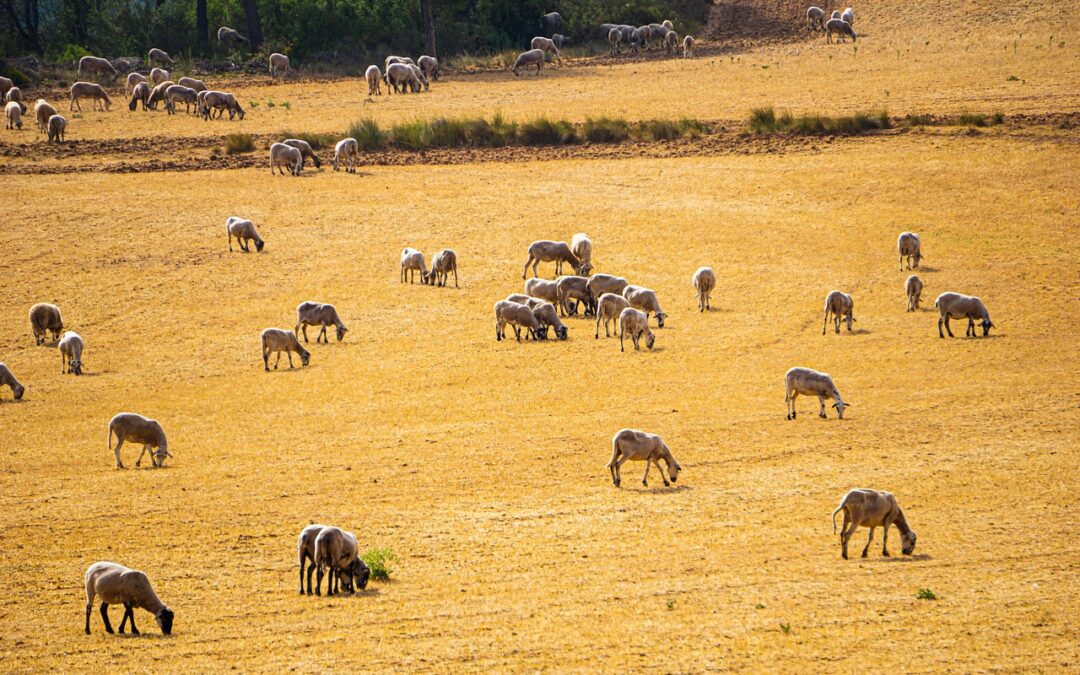 Impact Of Drought On Laguna Salada Hydrology ~ When The…