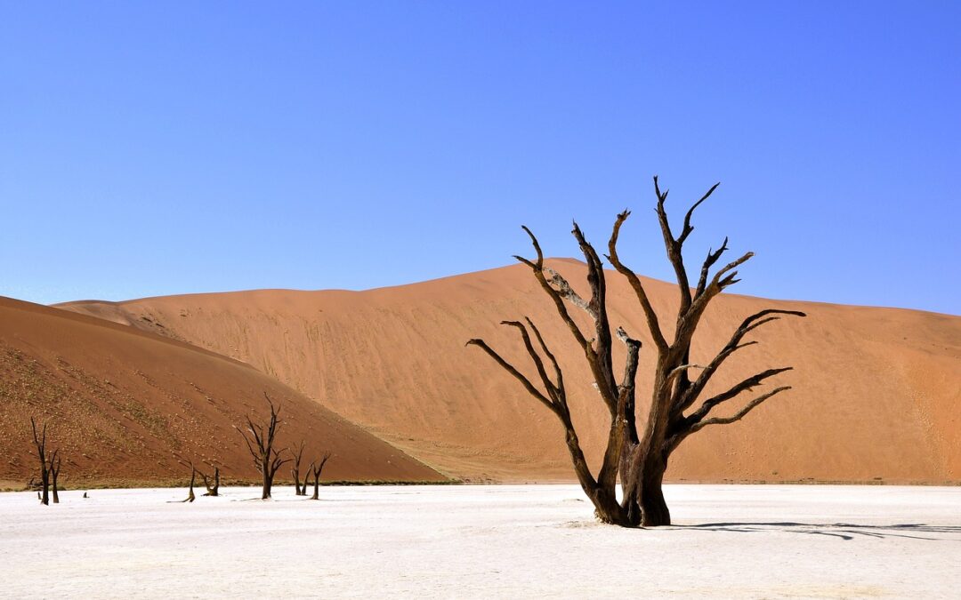 Impact Of Drought On Laguna Salada Hydrology » Drought’s Devastating…