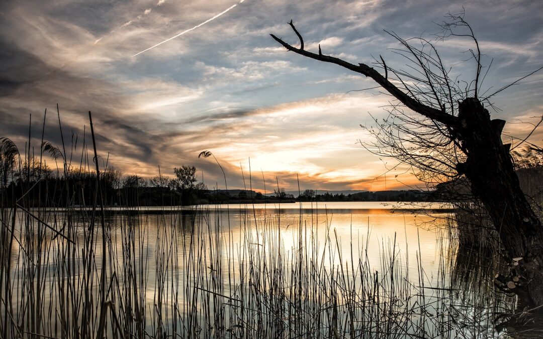 Impact Of Water Diversion On Great Salt Lake Levels /…