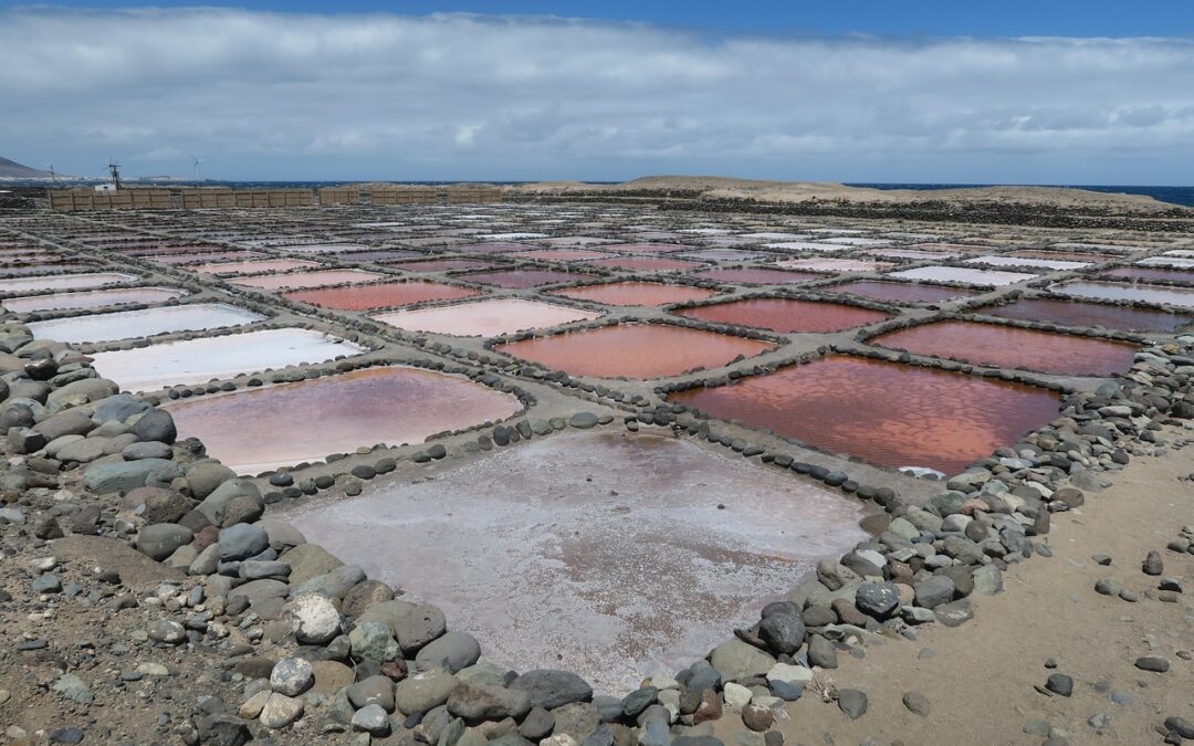 Impact Of Water Diversion On The Great Salt Lake |…