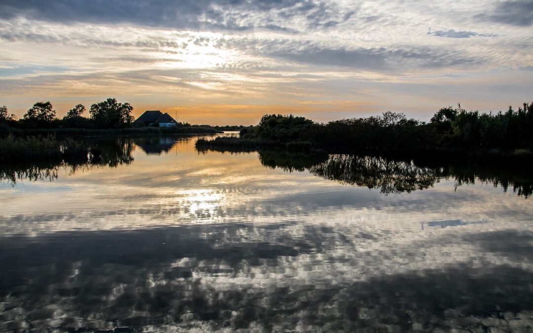 Laguna Salada Water Restoration – Saving Our Salty Lake: Laguna…